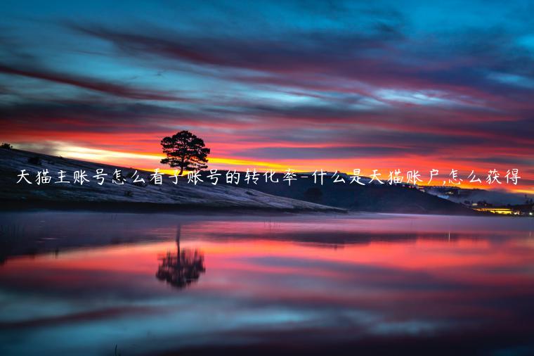 天貓主賬號怎么看子賬號的轉(zhuǎn)化率-什么是天貓賬戶,怎么獲得